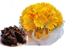 12 Yellow Gerberas Bunch+ 1/2 Kg Cake