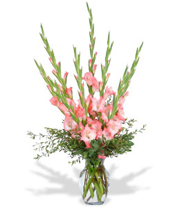 A vase of 12 gladioli