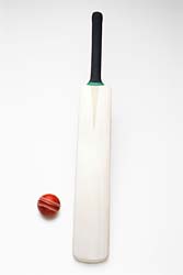 Cricket Bat and Balls 