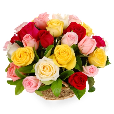 Florists on All India Florist   Send Flowers To India Florists India Floral Blooms