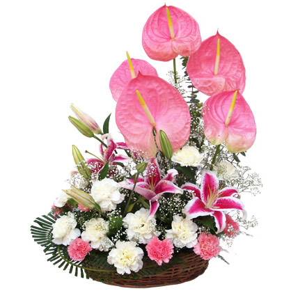 Pink+White Carnations with Pink Anthuriums in Basket