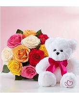 White Teddy with 12 coulored roses