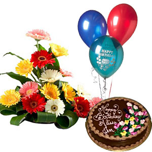 3 Balloons+ 1/2 Kg Chocolate Cake + 12 Mix Gerberas Basket