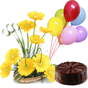 6 Balloons+ 1/2 Kg Chocolate Cake + 12 Yellow Gerberas Basket
