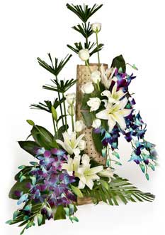 Basket of White and Blue Orchids